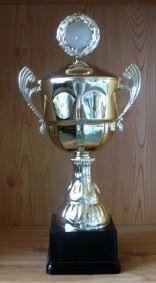 Henkel-Pokal gold 47,5cm #47