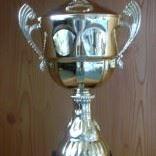 Henkel-Pokal gold 47,5cm #47