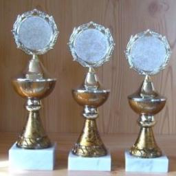 3 Pokale curry 21,5 bis 24,5cm #1928