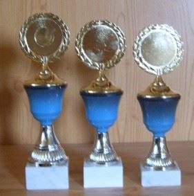 3 Pokale blau Deckel fest 21,5 bis 23,5 cm #99