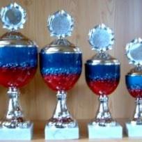 7er Serie Pokale rot-blau-gold 27 bis 38cm #1368