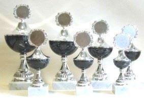 6er Serie Pokale gold-grün 16 bis 25 cm #11.14