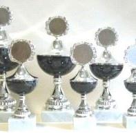 6er Serie Pokale gold-grün 16 bis 25 cm #11.14