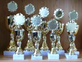 9er Serie Pokale gold 24 bis 39 cm #1864