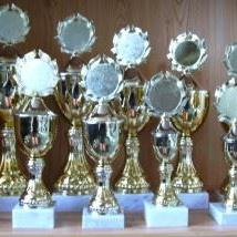 9er Serie Pokale gold 24 bis 39 cm #1864