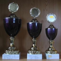 3 Pokale 10.6