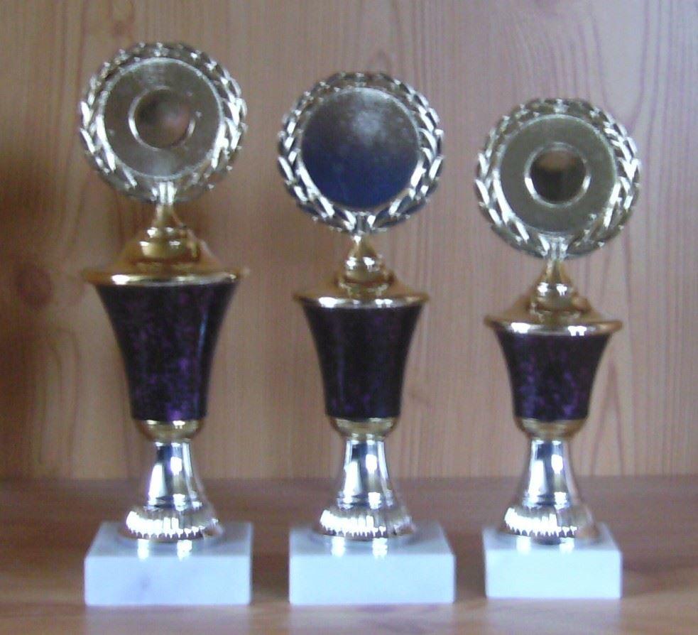 3 Pokale Deckel fest 20,5 bis 23 cm #154