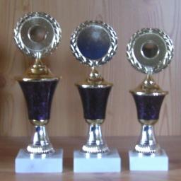 3 Pokale Deckel fest 20,5 bis 23 cm #154