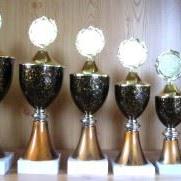 6er Serie Pokale curry-schwarz 26 bis 37cm #1886