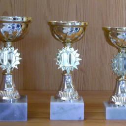 3 Pokale ohne Deckel 15 bis 17cm #1237