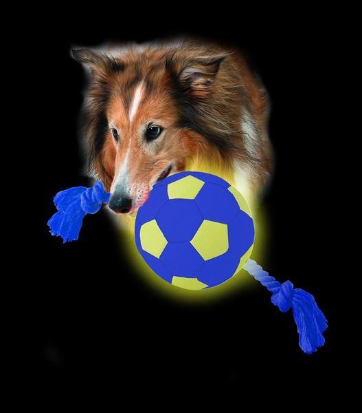 Aqua Ball 2