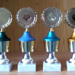 Ehrenpreis 20,5cm Deckel fest #11.5