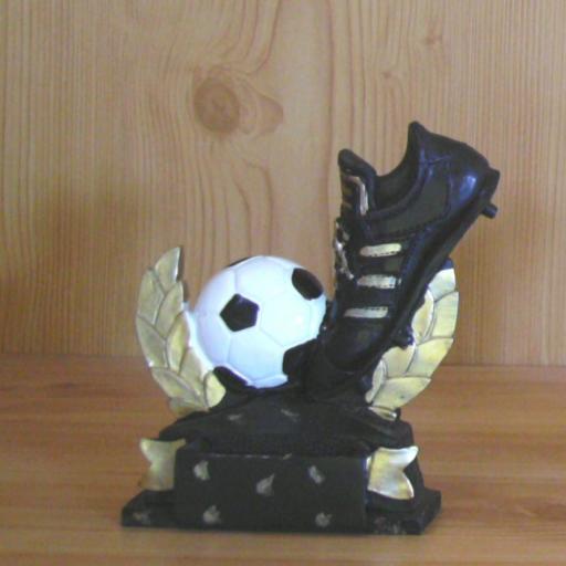 FB Schuh+Ball 213
