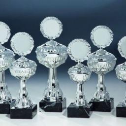 6er Serie Pokale silber 22 bis 28 cm #1