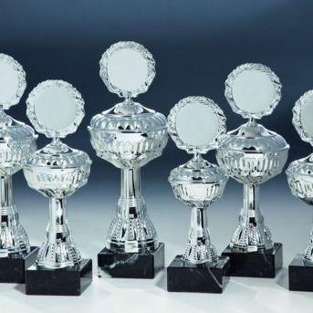 6er Serie Pokale silber 22 bis 28 cm #1