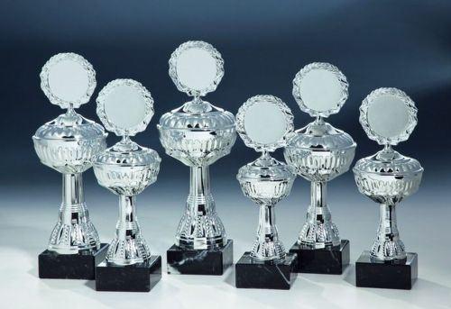 6er Serie Pokale silber 22 bis 28 cm #1
