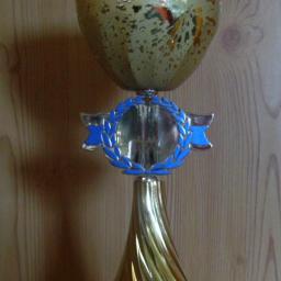 Pokal Kelch gold ohne Deckel 31cm # E 132