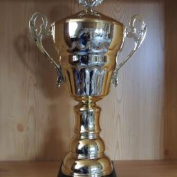 Henkelpokal gold 53cm #HP2