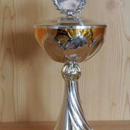 Pokal gold-siber 32cm #E 131