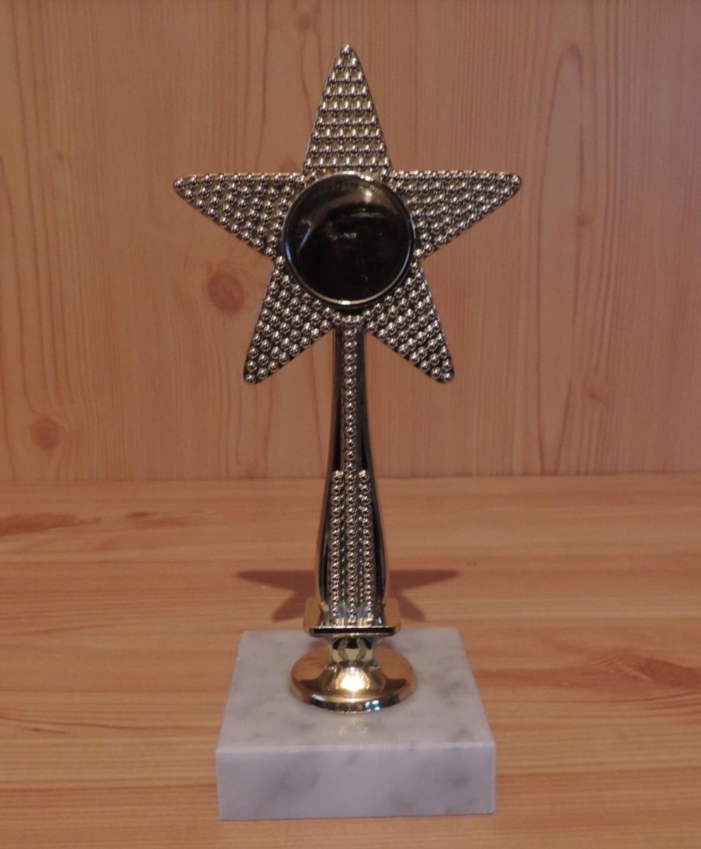 Stern aus Kunststoff mit Marmor 18cm #1