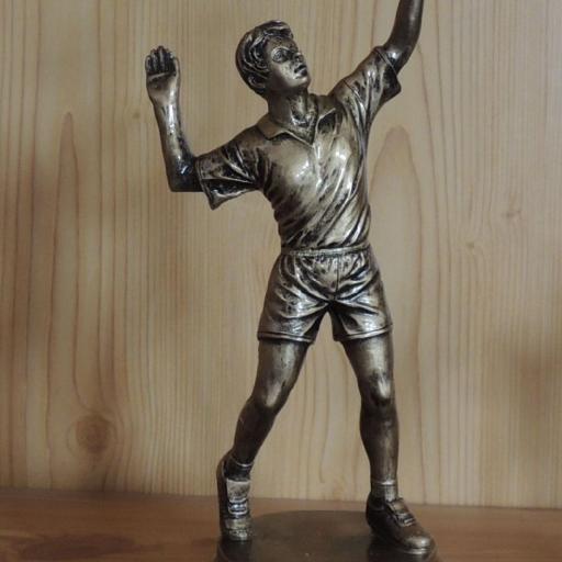 Volleyball Herren gold