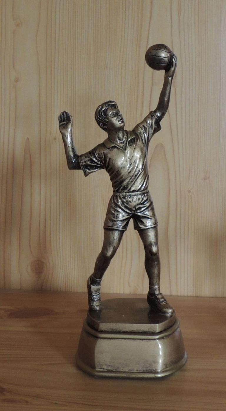 Volleyball Herren gold