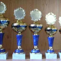 6er Serie Pokale gold-blau 26 bis 35 cm #1851