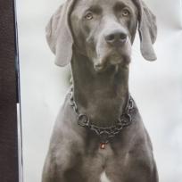 HS Edelstahl schwarz brüniert