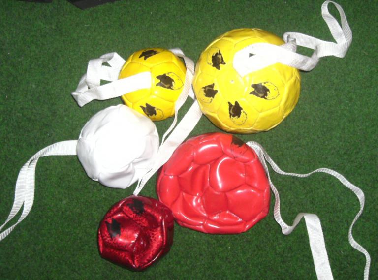 Dog Soccer