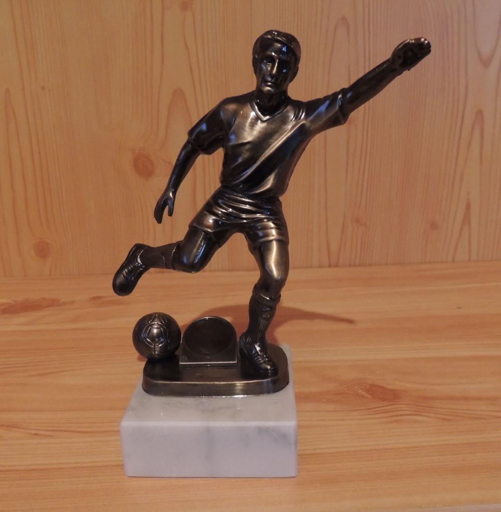 Fußball 19.5