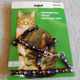 Katzengeschirr