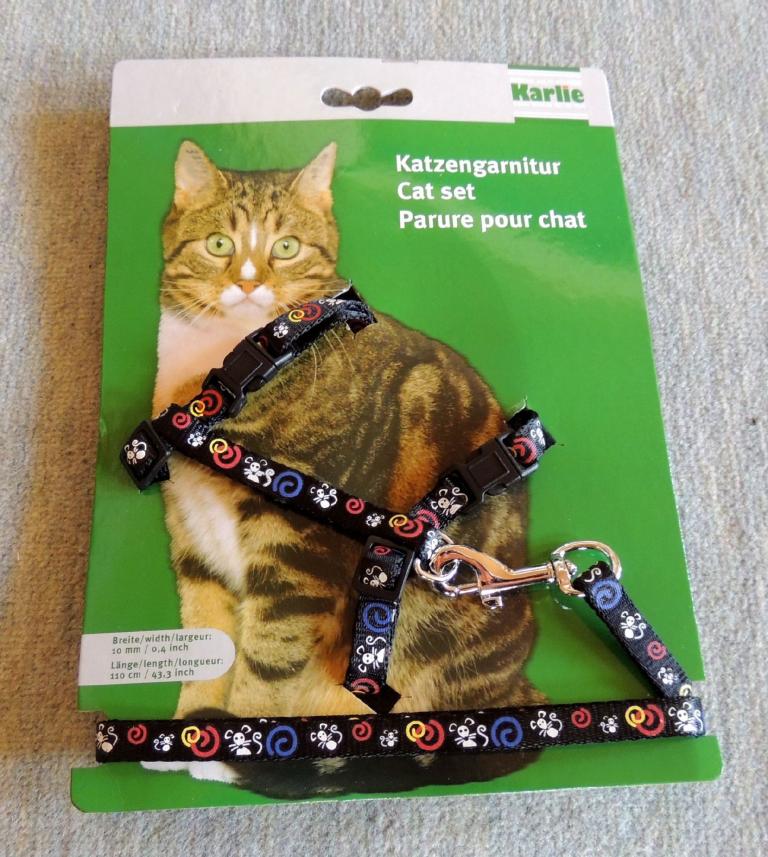 Katzengeschirr