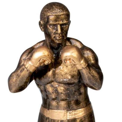 Box-Champion
