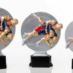 Kampfsport Ringen #KP217